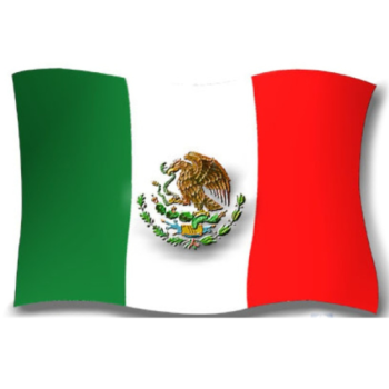 Bandera de Mexico 90X150 Flameo