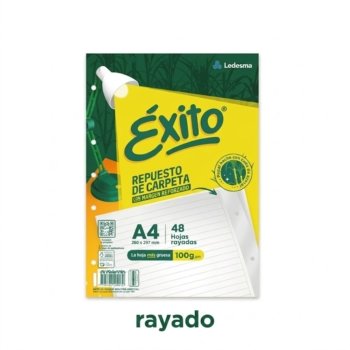 Repuesto 48 exito a4 rayado mr